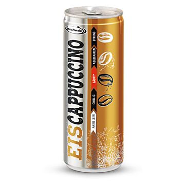 Hochwald Eis-Cappuccino Pfanddose DPG 0,25L. 24St.