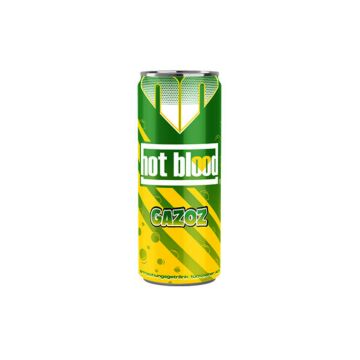 Hot blood Gazoz Dose 0,33L. 24St. DPG Pfand