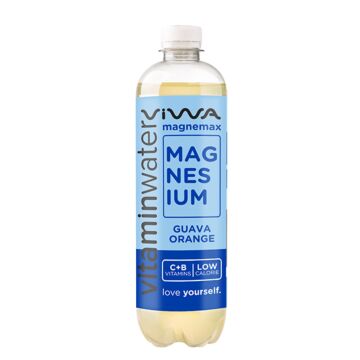 Viwa Magnesium - Guava Orange (DPG) PET 0,6L. 12St.
